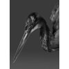 Purple Heron