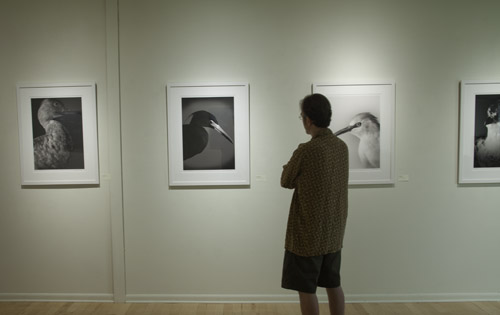 gallery exhibit