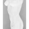 White Nude 1